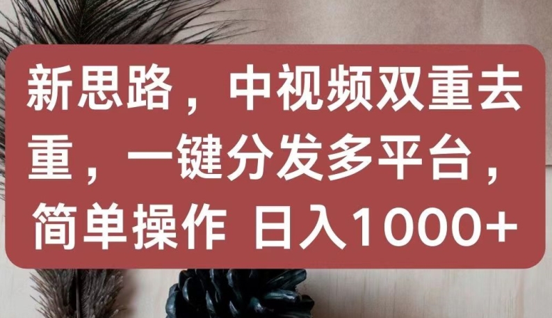 新思路，中视频双重去重，一键分发多平台，简单操作，日入1000+【揭秘】-520资源库