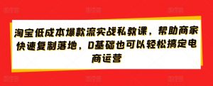 淘宝低成本爆款流实战私教课，帮助商家快速复制落地，0基础也可以轻松搞定电商运营-520资源库
