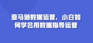 亚马逊数据运营，小白如何学会用数据指导运营-520资源库