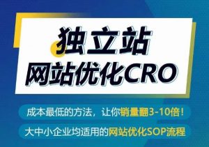 独立站网站优化CRO，成本最低的方法，让你销量翻3-10倍-520资源库