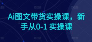Ai图文带货实操课，新手从0-1 实操课-520资源库