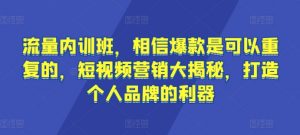 流量内训班，相信爆款是可以重复的，短视频营销大揭秘，打造个人品牌的利器-520资源库