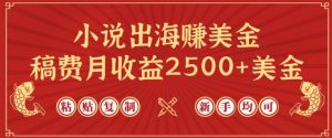 小说出海赚美金，稿费月收益2500+美金，仅需chatgpt粘贴复制，新手也能玩转【揭秘】-520资源库