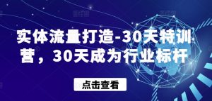 实体流量打造-30天特训营,30天成为行业标杆-520资源库