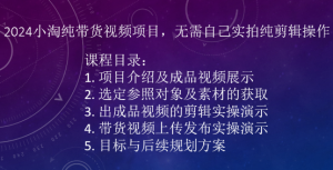 2024小淘纯带货视频项目，无需自己实拍纯剪辑操作-520资源库