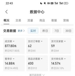 拼多多虚拟U盘电商红利项目：月赚2万+，新手小白也能玩-520资源库