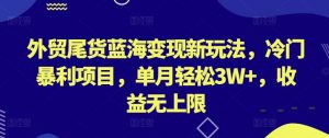 外贸尾货蓝海变现新玩法，冷门暴利项目，单月轻松3W+，收益无上限【揭秘】-520资源库