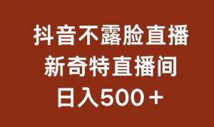 不露脸挂机直播，新奇特直播间，日入500+【揭秘】-520资源库