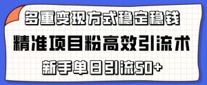 精准项目粉高效引流术，新手单日引流50+，多重变现方式稳定赚钱【揭秘】-520资源库