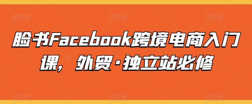 脸书Facebook跨境电商入门课，外贸·独立站必修-520资源库