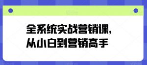 全系统实战营销课，从小白到营销高手-520资源库