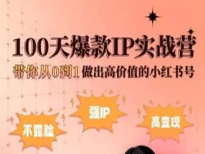 小红书100天爆款IP实战营，带你从0到1做出高价值的小红书号-520资源库