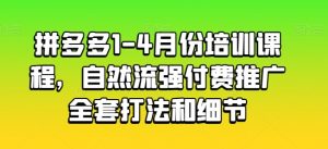 拼多多1-4月份培训课程，自然流强付费推广全套打法和细节-520资源库