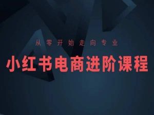 从零开始走向专业,小红书电商进阶课程-520资源库