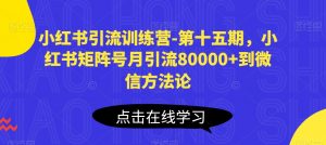 小红书引流训练营-第十五期，小红书矩阵号月引流80000+到微信方法论-520资源库