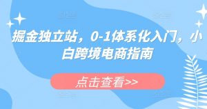 掘金独立站，0-1体系化入门，小白跨境电商指南-520资源库