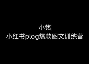 小铭-小红书plog爆款图文训练营，教你从0-1做小红书-520资源库