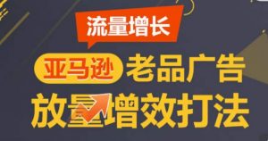 亚马逊流量增长-老品广告放量增效打法，循序渐进，打造更多TOP listing​-520资源库