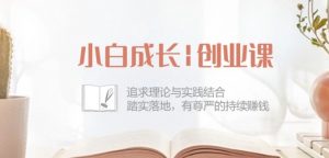 小白成长创业课：追求理论与实践结合，踏实落地，有尊严的持续赚钱-42节-520资源库