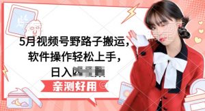 5月视频号野路子搬运，软件操作轻松上手，日入三位数【揭秘】-520资源库