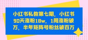 小红书私教第七期，小红书90天涨粉18w，1周涨粉破万，半年矩阵号粉丝破百万-520资源库