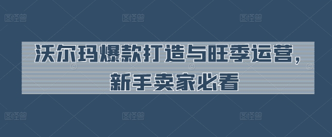 沃尔玛爆款打造与旺季运营，新手卖家必看-520资源库