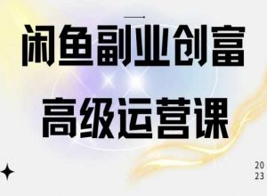 闲鱼电商运营高级课程，一部手机学会闲鱼开店赚钱-520资源库