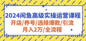 2024闲鱼高级实操运营课程：开店/养号/选择爆款/引流/月入2万/全流程-520资源库