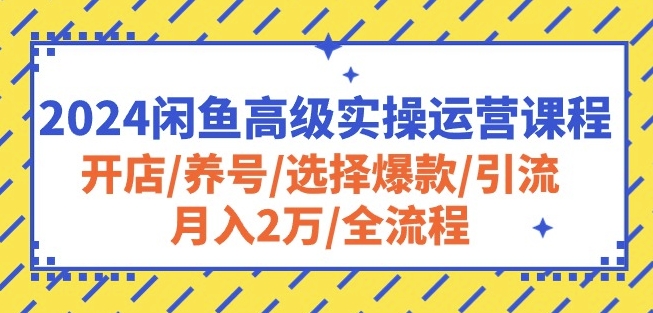 2024闲鱼高级实操运营课程：开店/养号/选择爆款/引流/月入2万/全流程-520资源库