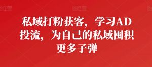 私域打粉获客，学习AD投流，为自己的私域囤积更多子弹-520资源库