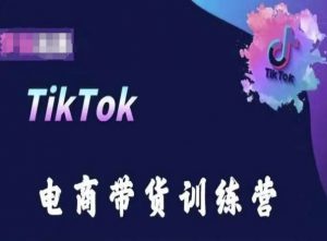 TikTok电商带货训练营，跟随时代潮流，跨境掘金-520资源库