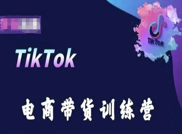 TikTok电商带货训练营，跟随时代潮流，跨境掘金-520资源库