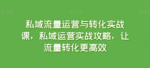 私域流量运营与转化实战课，私域运营实战攻略，让流量转化更高效-520资源库