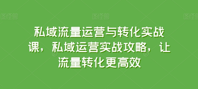 私域流量运营与转化实战课，私域运营实战攻略，让流量转化更高效-520资源库