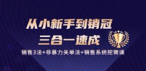 从小新手到销冠 三合一速成：销售3法+非暴力关单法+销售系统挖需课 (27节)-520资源库