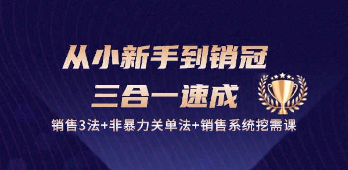 从小新手到销冠 三合一速成：销售3法+非暴力关单法+销售系统挖需课 (27节)-520资源库