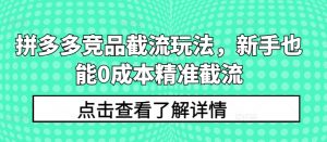 拼多多竞品截流玩法，新手也能0成本精准截流-520资源库