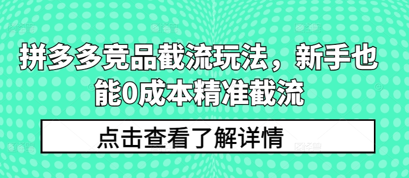 拼多多竞品截流玩法，新手也能0成本精准截流-520资源库