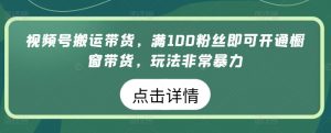 视频号搬运带货，满100粉丝即可开通橱窗带货，玩法非常暴力【揭秘】-520资源库