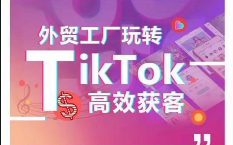 外贸工厂玩转TikTok高效获客，多种引流方式与账号定位技巧，拆解爆款短视频打造成功案例-520资源库