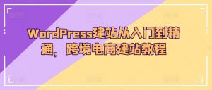 WordPress建站从入门到精通，跨境电商建站教程-520资源库