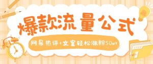 爆款流量公式，网易热评+文案轻松涨粉50w+【揭秘】-520资源库