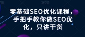 零基础SEO优化课程，手把手教你做SEO优化，只讲干货-520资源库
