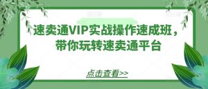 速卖通VIP实战操作速成班，带你玩转速卖通平台-520资源库