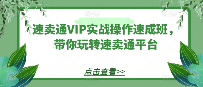速卖通VIP实战操作速成班，带你玩转速卖通平台-520资源库