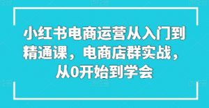小红书电商运营从入门到精通课，电商店群实战，从0开始到学会-520资源库