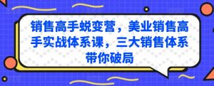 销售高手蜕变营，美业销售高手实战体系课，三大销售体系带你破局-520资源库