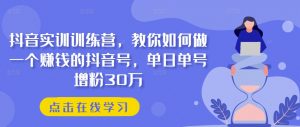 抖音实训训练营，教你如何做一个赚钱的抖音号，单日单号增粉30万-520资源库