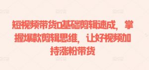 短视频带货0基础剪辑速成，掌握爆款剪辑思维，让好视频加持涨粉带货-520资源库