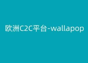 欧洲C2C平台-wallapop-kim跨境电商教程-520资源库